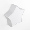 STAR GRAY LAMPA SUFITOWA 2