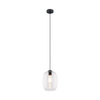 ELIO TRANSPARENT LAMPA WISZACA 1