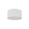TOP WHITE LAMPA SUFITOWA 1XGX53