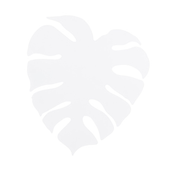 MONSTERA XL WHITE KINKIET 4XG9